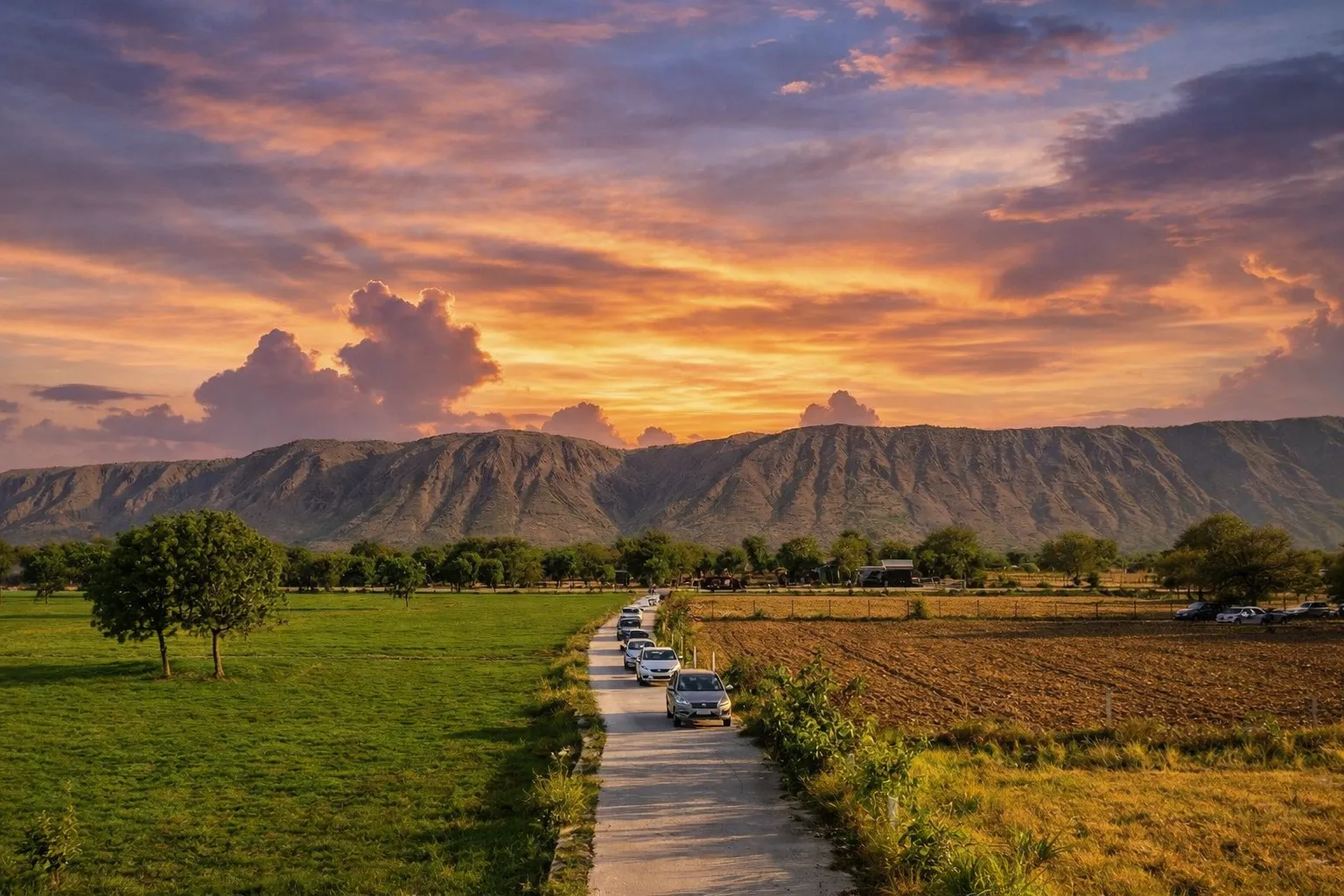 Definite Infra office and team