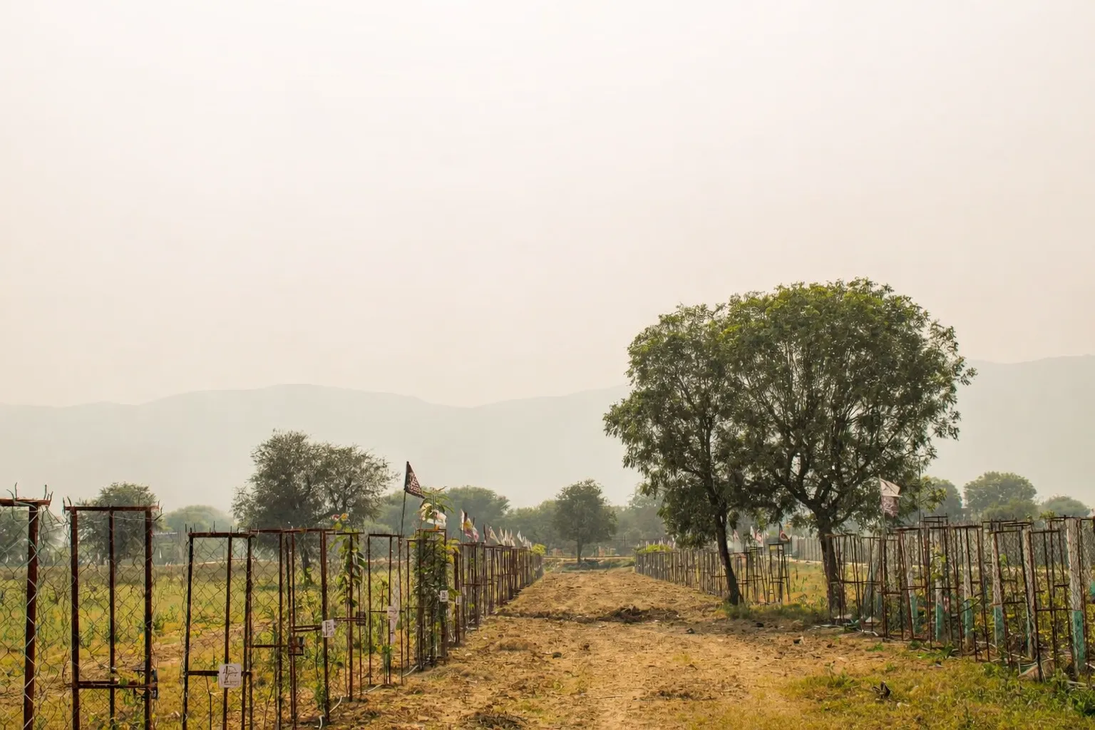 Oasis Park-1 site development